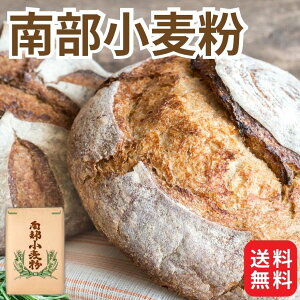 レビュークーポン100円プレゼント! 業務用 国産 小麦粉 南部小麦粉 25kg 東日本産業 岩手県産 パン用 強力粉 送料無料 南部 ナンブ テリア特号 てりあ テリア 硬質小麦 食パン