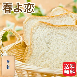 r[N[|100~v[g! Ɩp Y  t 25kg {Y kCY pp ͕  nRC t旈 Xg[g d Hp t 25kg