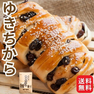 Ɩp Y  䂫 25kg {Y 茧Y pp ͕  L`J  d Hp