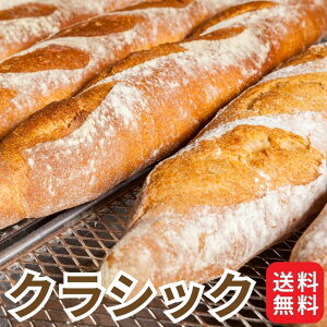 Ɩp Y  NVbN 25kg nippn jbv kCY pp ͕  炵 classic d Hp