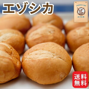 Ɩp Y  G]VJ 25kg R kCY pp ͕ @  d Hp