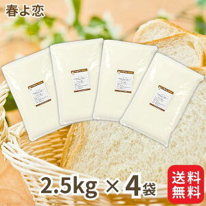 r[N[|100~v[g! ƒp Y  t 2.5kg 5kg 10kg Zbgi {Y kCY pp ͕ nRC t旈 Xg[g d Hp z[x[J[