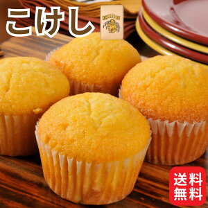 Ɩp Y   25kg {Y َqp ͕  RPV  P[L NbL[