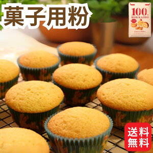 Ɩp Y  100%HOKKAIDO َqp 20kg ]ʐ kCY َqp ͕  قǂ  P[L NbL[