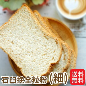 Ɩp Y  XvOF 10kg R kCY pp َqp ͕ ͕  CXg[ spring SPRING F d  Hp P[L NbL[