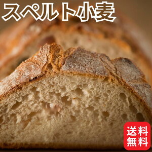 r[N[|100~v[g! ƒp Y  Xyg 2.5kg R kCY pp َqp ͕ ͕ Xyg ؂ d  Hp P[L NbL[ z[