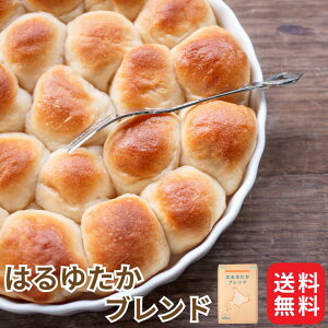 Ɩp Y  ͂䂽uh 25kg ]ʐ kCY pp ͕  ͂䂽 n^J tL uh d Hp