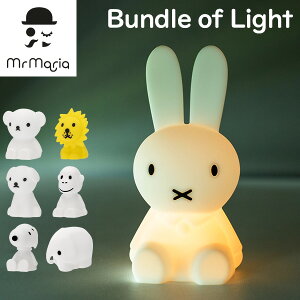 ~btB[ ohIuCg Iׂ1`2Zbg LED Cg Bundle of Light lamp dr Ɩ  킢 VR Cg e[uCg iCgCg Ԃ Q q ~