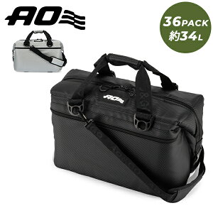�G�[�I�[ �N�[���[�Y AO Coolers �N�[���[�o�b�O 36�p�b�N �J�[�{�� �\�t�g�N�[���[ AOCR36BK �u���b�N AOCR36SL �V���o�[ 36PACK CARBON �A�E�g�h�A �L�����v
