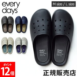 teBA FRONTIER RtH[gT_ everydays GufCY T_ Xbp Y fB[X jZbNX [V[Y oRj[ x_ Vv EVA tBbg ʋC ې