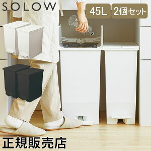 \E SOLOW S~ 2Zbg ݔ _Xg{bNX 45L y_I[vcC GSLW00 y_t LX^[t X p^ Lb` 
