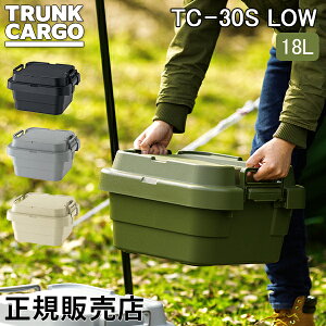 gNJ[S RISU [{bNX [P[X X^bLO^Cv [^Cv AEghA TC-30S LOW 18L Rei{bNX Lv X