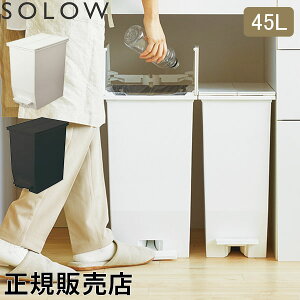 \E SOLOW S~ ݔ _Xg{bNX 45L y_I[vcC GSLW00 y_t LX^[t X p^ Lb` 