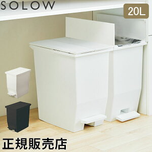 \E SOLOW S~ ݔ _Xg{bNX 20L y_I[vcC GSLW00 y_t LX^[t X p^ Lb` 