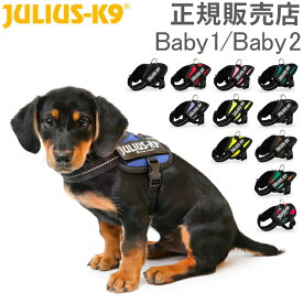 楽天市場 レゲエ 犬用品 ペット ペットグッズ の通販