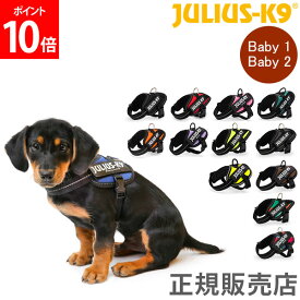 ユリウスケーナイン Julius-K9 IDC パワーハーネス 小型犬 Baby 1 / Baby 2 胸囲29～45cm 犬用 ハーネス 犬 散歩 胴輪 ペット Powerharness
