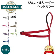 ＼店内、SS限定SALE開催中／ ペットセーフ Petsafe ジェントルリーダー ヘッドカラー S M L GentleLeader…