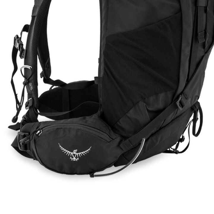 楽天市場】オスプレー Osprey バックパック ケストレル 38 ザック 