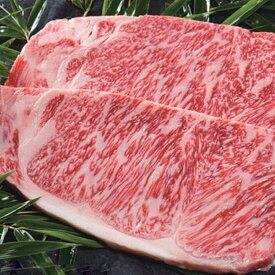 氷見和牛 和牛 牛 サーロインステーキ ステーキ 氷見 富山【氷見和牛 サーロインステーキ 300g（150g×2枚）】グランマルシェタケダ お取り寄せ 約300g（150g×2枚） 誕生祝い 敬老の日 お歳暮 御歳暮 冬ギフト