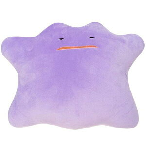 LN^[ |PbgX^[ T[h ^ NbV ʂ 43cm