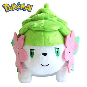 |P VFC~ ʂ 25cm   LN^[ |PbgX^[ VFC~ʂ