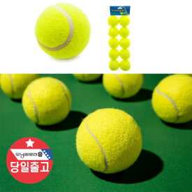 練習用テニスボール こども幼稚園 保育園 おもちゃボール10p