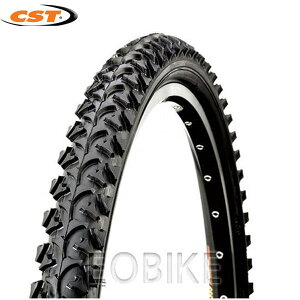 CST^C 22x1.95 C1040N ]ԃ^C/22C`^C