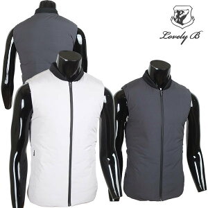 Y SHJ 3011 _ExXg StEFA jq ~ StxXg