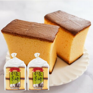 }gZCJ JXep aP[L 260gx2/ap/VtHP[L/^g/p//p[Wo