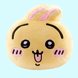 S  ԗp NbV ʂ 27cm  