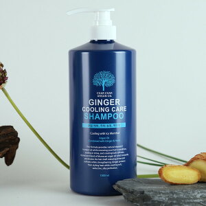 CHARCHAR/AKIC/I/Vv[/1000ml/1+1