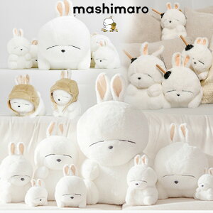 킢}V} l` CO 8cm z_[ L[O   LN^[  a wZ w ct v[g