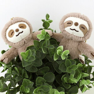 i}Pm L[O ʂ 10cm z_[   a FB v[g