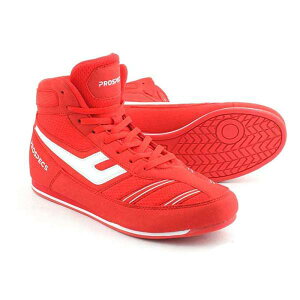 vXybNX {NVOV[Y {NT[ ~bh bh obO܂ {NVOV[Y