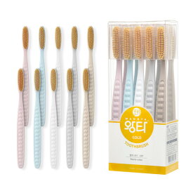 ペク先生 ワンタ歯ブラシ より柔らかい ゴールド缶 10P