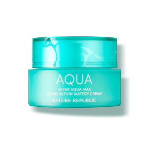 NATURE REPUBLIC SUPER AQUA MAX COMBINATION WATERY CREAM 80ml / Combination Skin