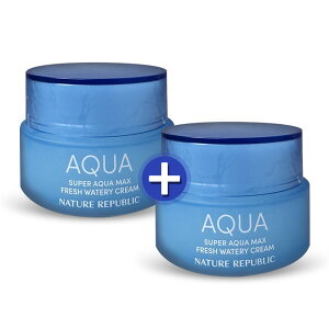 NATURE REPUBLIC SUPER AQUA MAX FRESH WATERY CREAM 80ml x2ea /Oily Skin