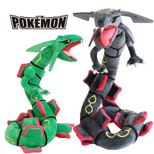 |PbgX^[ N[W ʂ 100cm    hS