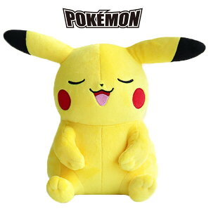 |P ΂sJ`E l` 25cm  |PbgX^[