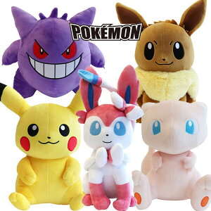 |Pʂ 35cm sJ`E CC jsA ~E t@g   LN^[ |PbgX^[ a v[g