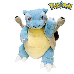 |PbgX^[ T̂ʂ 25cm T