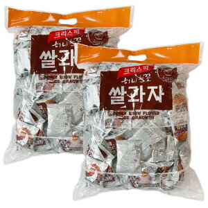 NXs[ nj[ ĉَq 920gX 2