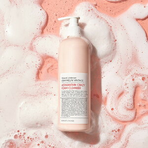 AX^LT` NCW[ tH[NU[ 500ml