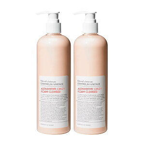 (1+1) AX^LT` NCW[ tH[NU[ 500ml