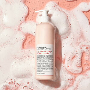 AX^LT` NCW[ tH[NU[ 500ml