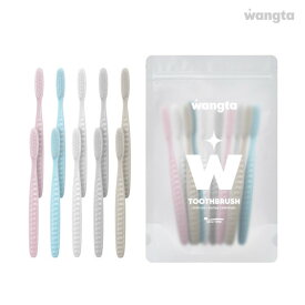 ペク先生 王太歯ブラシ ストーンポーチ 10P