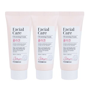 Foodaholic/Facial/Care/Cleansing Foam/Collagen/100ml/Cleanser