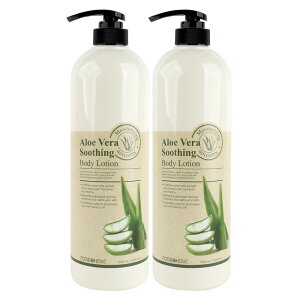 (1+1)t[hAzbN AGx X[WO {fB[V 1000ml