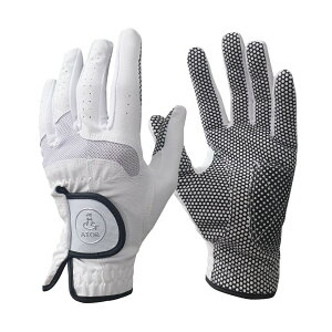 Y v~A VR mXbv St()22~26 ׂ~ Kp tB[hp