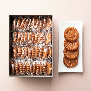 ڂĖ 40/ NEW 30g x 40iv1.2kgj